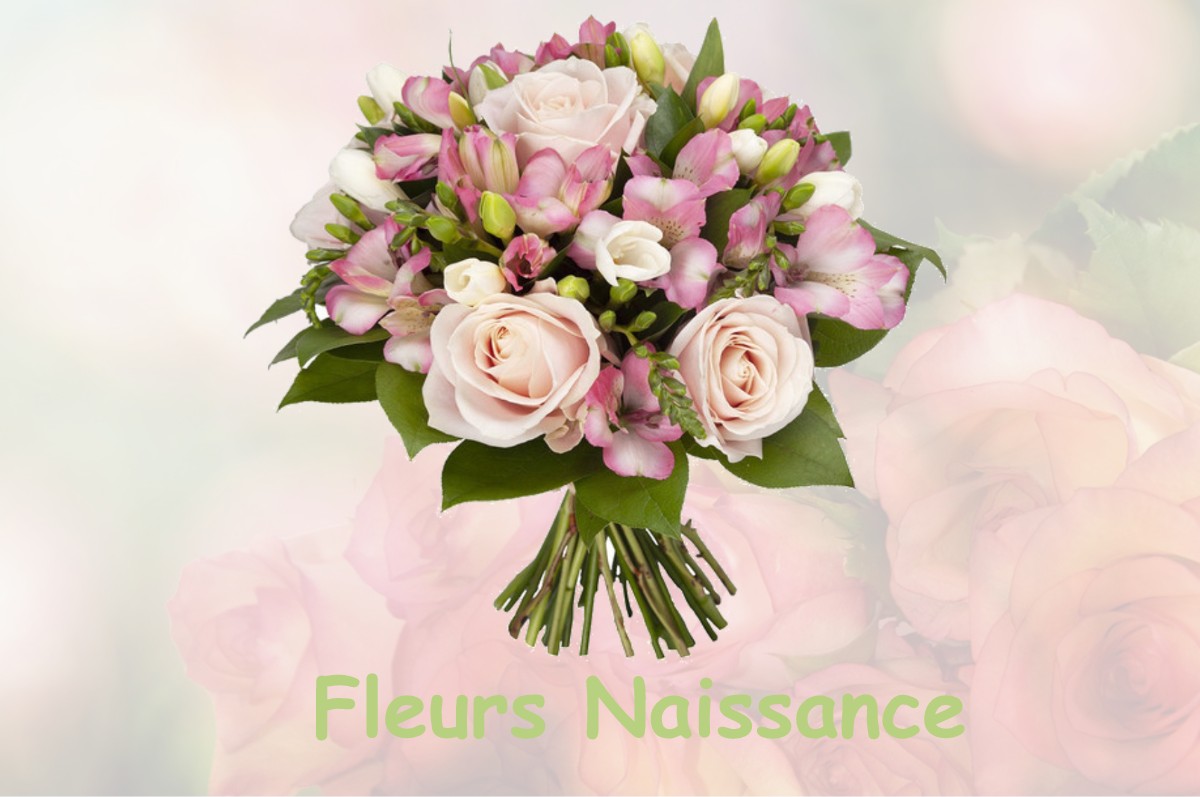 fleurs naissance RIGNIEUX-LE-FRANC